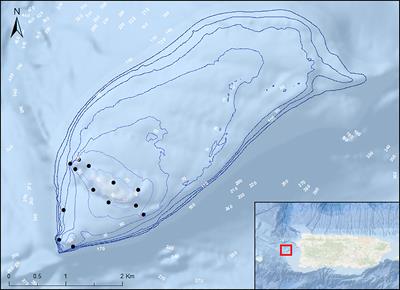 Home range, space use, and vertical distribution of Nassau grouper (Epinephelus striatus) during non-spawning times in Western Puerto Rico